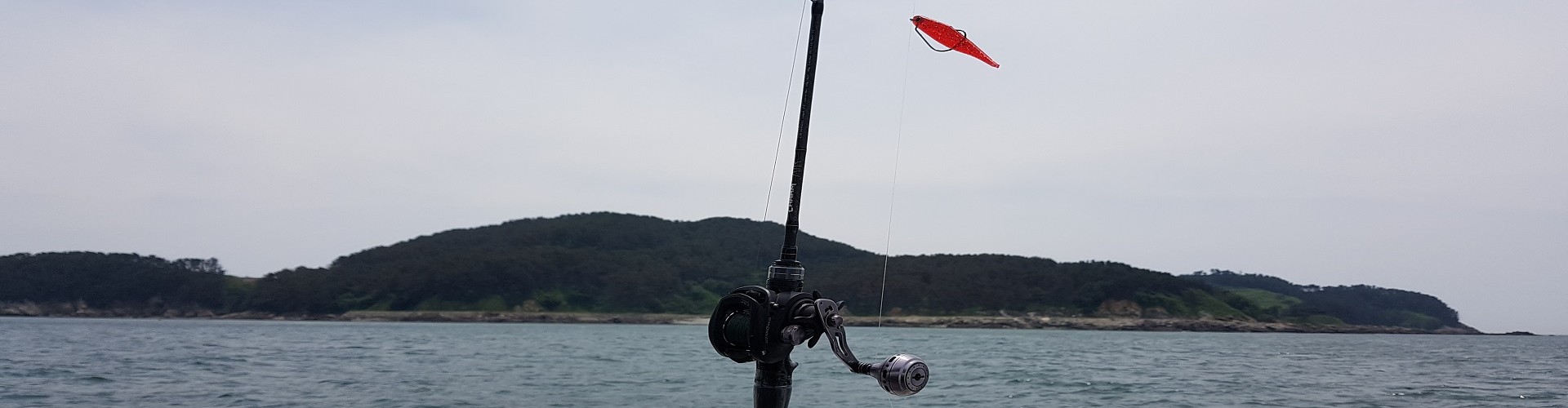 쭈꾸미는 내가 최고!!