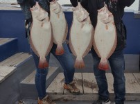 [2019.05.26][제일피싱호] 광어다운…