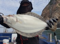 [2019.05.26][제일피싱호] 광어다운…