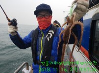 [2018.11.16][썬플라워호]  쭈꾸미…