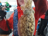 [2019.05.26][썬플라워호] 참돔 타…