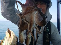 [2018.10.20][동서3호] 쭈꾸미 환…