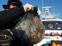 [2018.10.20][동서3호] 쭈꾸미 환…