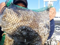 [2018.10.20][동서3호] 쭈꾸미 환…